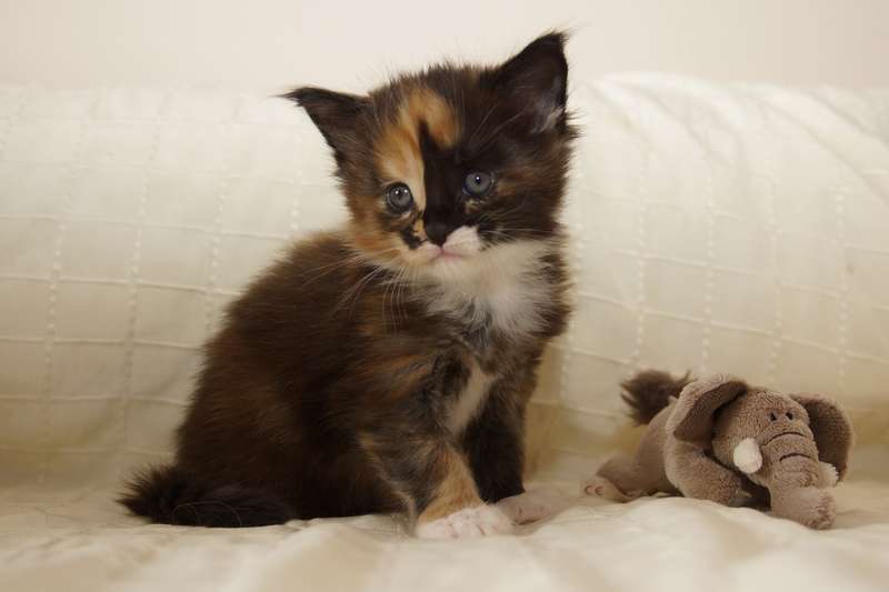  Thelma 28 days